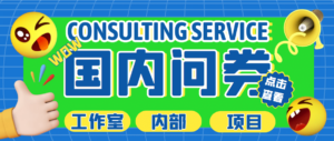 最新工作室内部国内问卷调查项目 单号轻松30+多号多撸【详细教程】-布谷屋免费网赚资源网