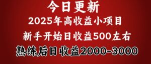 2025开年好项目，新手日收益500+ 熟练掌握后，日收益平均2000多-布谷屋免费网赚资源网