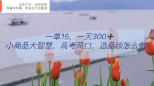 一单15,一天300+,小商品大智慧,高考风口,选品该怎么布局-布谷屋免费网赚资源网