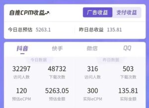 一天收益5000+怎么做到的？无脑搬运即可，长期稳定项目，一部手机可做-布谷屋免费网赚资源网