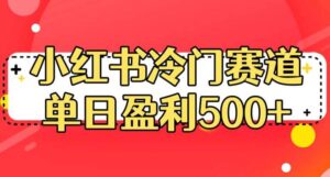 小红书冷门赛道，单日盈利500+【揭秘】-布谷屋免费网赚资源网