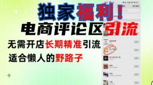 简单有效长期引流,电商评论引流法,无需开店长期精准引流,适合懒人干就完了!-布谷屋免费网赚资源网