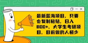最新蓝海项目,只要会复制粘贴,日入800+,大学生考研项目,目前做的人极少-布谷屋免费网赚资源网
