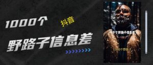 抖音一千个野路子信息差最新玩法教程引流+变现的玩法具体拆解-布谷屋免费网赚资源网