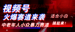 视频号玩法，最新爆火赛道，中老年人深信不疑，适合小白，宝妈，轻松实现日入1000+-布谷屋免费网赚资源网
