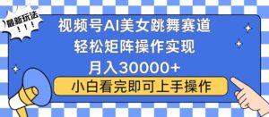 视频号2025最火最新玩法,当天起号,拉爆流量收益,小白也能轻松月入30000+-布谷屋免费网赚资源网