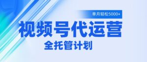 视频号代运营2.0，全程托管招募，单月轻松变现5000+-布谷屋免费网赚资源网