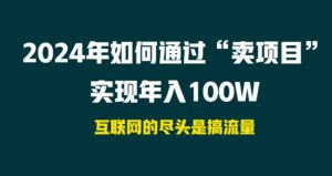 2024年如何通过“卖项目”实现年入100W-布谷屋免费网赚资源网
