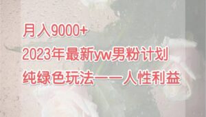 月入9000+2023年9月最新yw男粉计划绿色玩法——人性之利益-布谷屋免费网赚资源网
