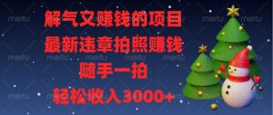 解气又赚钱的项目，最新违章拍照赚钱，随手一拍，轻松收入3000+-布谷屋免费网赚资源网