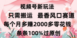 日入2000+,条条100%过原创,视频号最香风口赛道,小白轻松上手-布谷屋免费网赚资源网