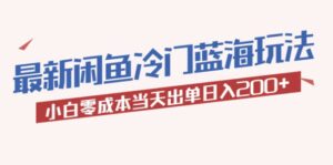 2023最新闲鱼冷门蓝海玩法，小白零成本当天出单日入200+-布谷屋免费网赚资源网