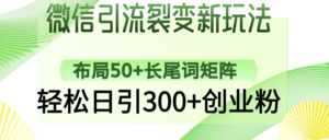 微信引流裂变新玩法:布局50+长尾词矩阵,轻松日引300+创业粉-布谷屋免费网赚资源网