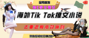 海外tiktok小说推文暴力项目,高停留率,高转化率,上手后一天搞顿饭钱不是问题-布谷屋免费网赚资源网