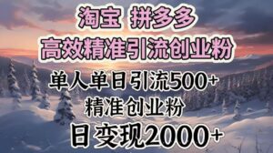 淘宝拼多多高效精准引流创业粉,单人单日引流500+创业粉,日变现2000+-布谷屋免费网赚资源网
