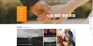 情感博客资讯网站搭建教学，小白也可上手，多种盈利赚钱模式（教程+源码）-布谷屋免费网赚资源网