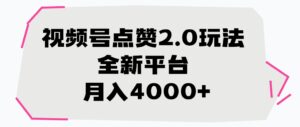 视频号点赞2.0玩法，月入4000+，全新平台-布谷屋免费网赚资源网