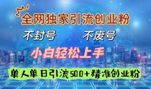 全网独家引流创业粉，不封号、不费号，小白轻松上手，单人单日引流500＋精准创业粉-布谷屋免费网赚资源网
