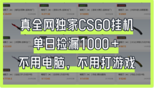 真全网独家CSGO挂机，单日捡漏1000+-布谷屋免费网赚资源网