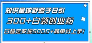 知识星球野路子日引300+白领创业粉，日稳定变现5000+简单好上手！-布谷屋免费网赚资源网