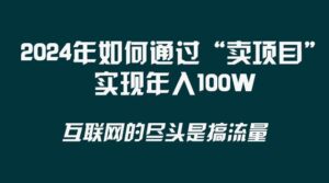 2024年如何通过“卖项目”实现年入100W-布谷屋免费网赚资源网