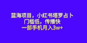 蓝海项目,小红书塔罗占卜,门槛低,传播快,一部手机月入3w+-布谷屋免费网赚资源网