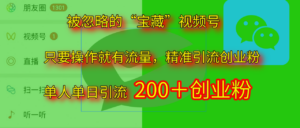 2025.5月最新被忽略的“宝藏”视频号，精准日引流200+-布谷屋免费网赚资源网