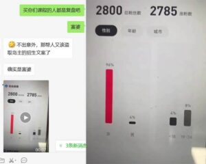 小红书虚拟引流变现项目4期，日赚1000+只要有执行力，这个项目就适合-布谷屋免费网赚资源网