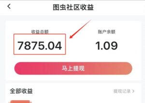 图文冷门新玩法，搭配AI无脑上传，高效月入5000+-布谷屋免费网赚资源网
