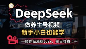 用DeepSeek做养生号,一条作品涨粉5万+,单日收益上千-布谷屋免费网赚资源网