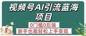 疯传!视频号AI引流蓝海项目,0门槛0后端,新手也能轻松上手变现-布谷屋免费网赚资源网