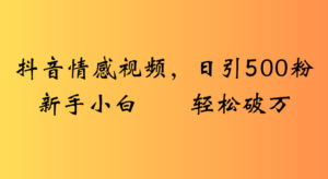 抖音情感视频,日引500粉新手小白轻松破万-布谷屋免费网赚资源网