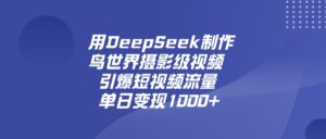 用DeepSeek，制作鸟世界摄影级视频，引爆短视频流量，单日变现1000+-布谷屋免费网赚资源网
