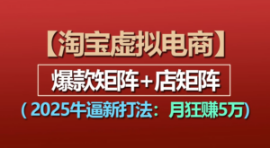 【淘宝虚拟项目】2025牛X新打法：爆款矩阵+店矩阵，月狂赚5万-布谷屋免费网赚资源网