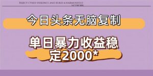 今日头条稳定日入2000+  无脑复制即可-布谷屋免费网赚资源网