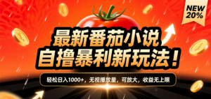(爆款) 番茄小说“自推自新”躺赚玩法曝光!10-20播放就出单,日入1000+只是保底-布谷屋免费网赚资源网