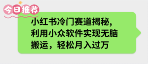 小红书冷门赛道揭秘,利用小众软件实现无脑搬运，轻松月入过万-布谷屋免费网赚资源网
