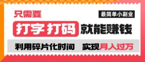 打字打码就能赚钱的副业，利用碎片时间，实现月入过万，简单的赚钱小副业-布谷屋免费网赚资源网