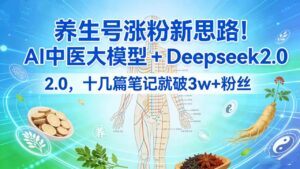 养生号涨粉新思路！AI 中医大模型 + Deepseek 2.0，十几篇笔记就破 3w + 粉丝-布谷屋免费网赚资源网