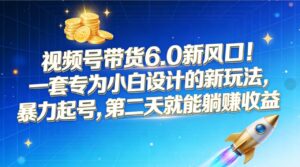 视频号带货6.0新风口！一套专为小白设计的新玩法，暴力起号，第二天就能躺赚收益-布谷屋免费网赚资源网