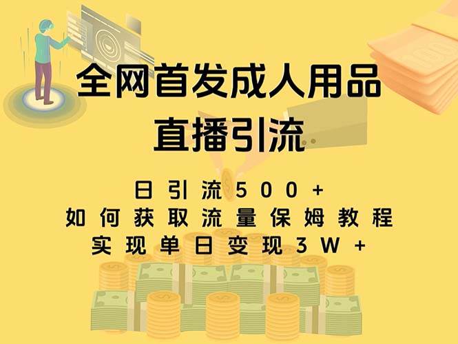 最新全网独创首发,成人用品直播引流获客暴力玩法,单日变现3w保姆级教程-布谷屋免费网赚资源网