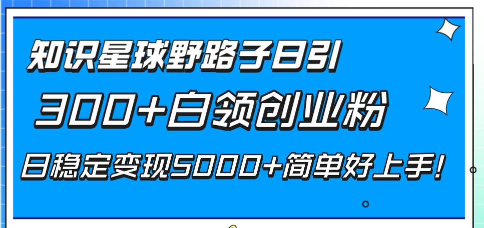 知识星球野路子日引300 白领创业粉，日稳定变现5000 简单好上手！-布谷屋免费网赚资源网