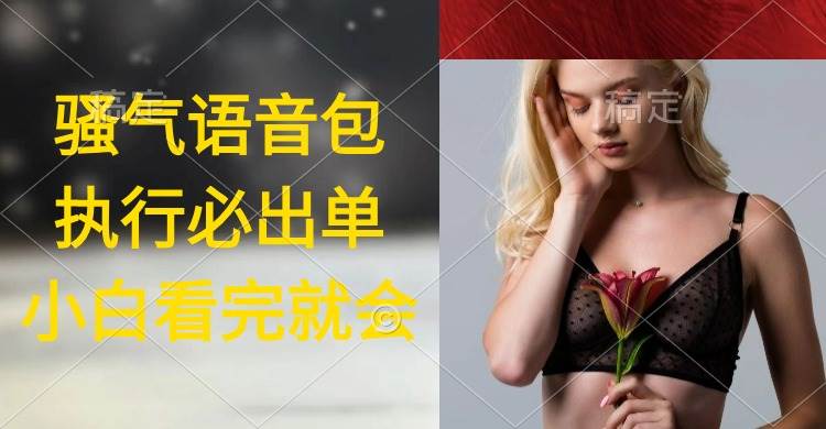 执行就出单，日入2000+，超火骚气语音包，小白看完课程就能马上实操-布谷屋免费网赚资源网