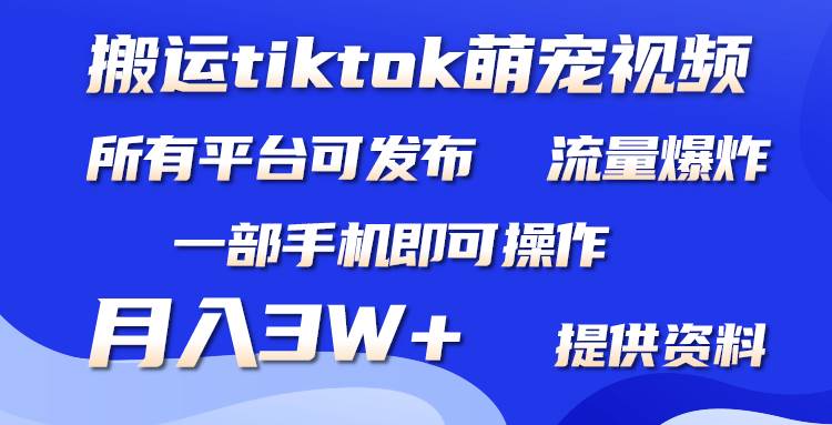 搬运Tiktok萌宠类视频，一部手机即可。所有短视频平台均可操作，月入3W+-布谷屋免费网赚资源网