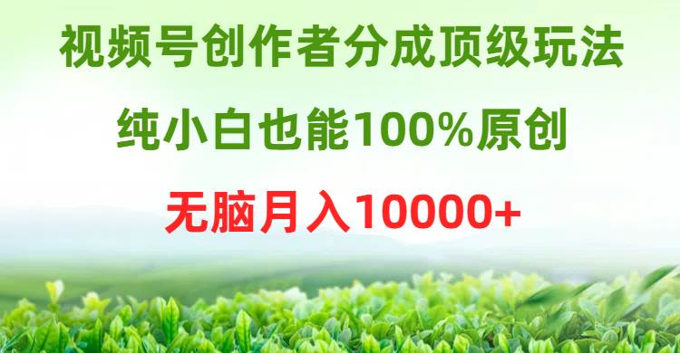 视频号创作者分成顶级玩法，纯小白也能100%原创，无脑月入10000+-布谷屋免费网赚资源网
